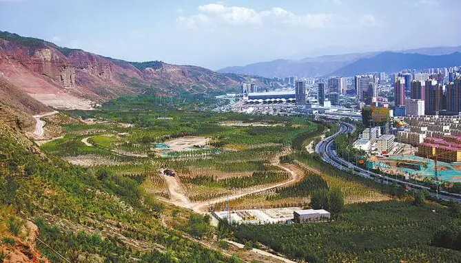 青海计划3年完成国土绿化面积1305万亩
